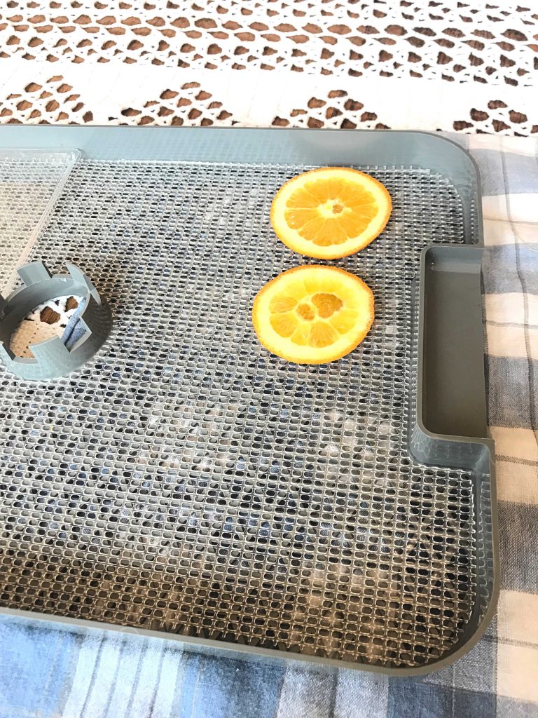 Two Orange slices in a single layer on a dehydrating rack on a white Buffalo check table cloth