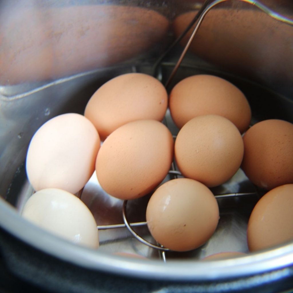 Farm fresh eggs in an instant pot with water on a rack