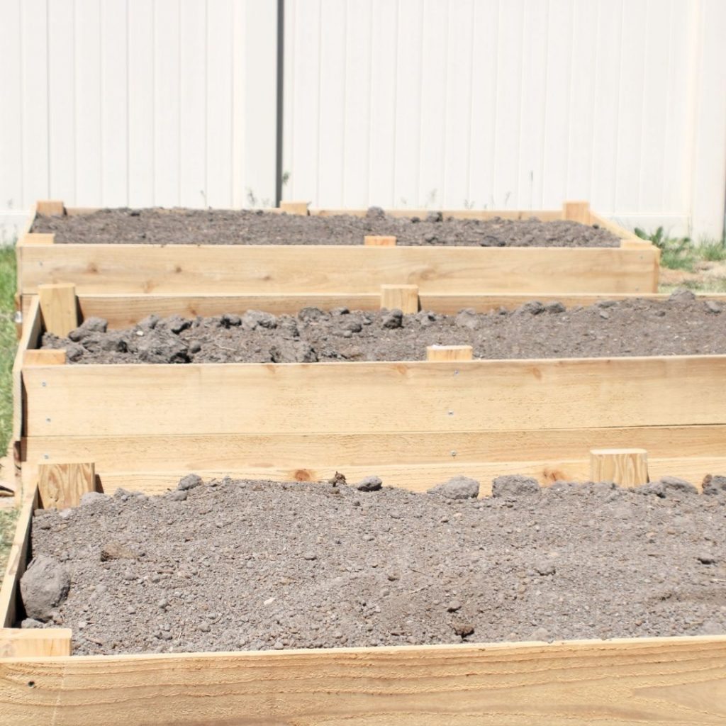 3 wooden garden beds filled with soil 